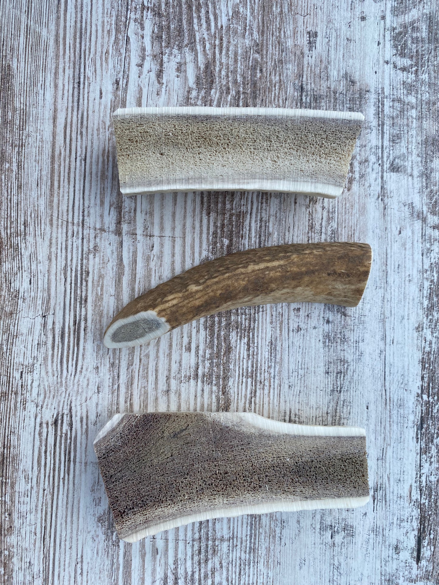 Small Split Elk Antler Chew