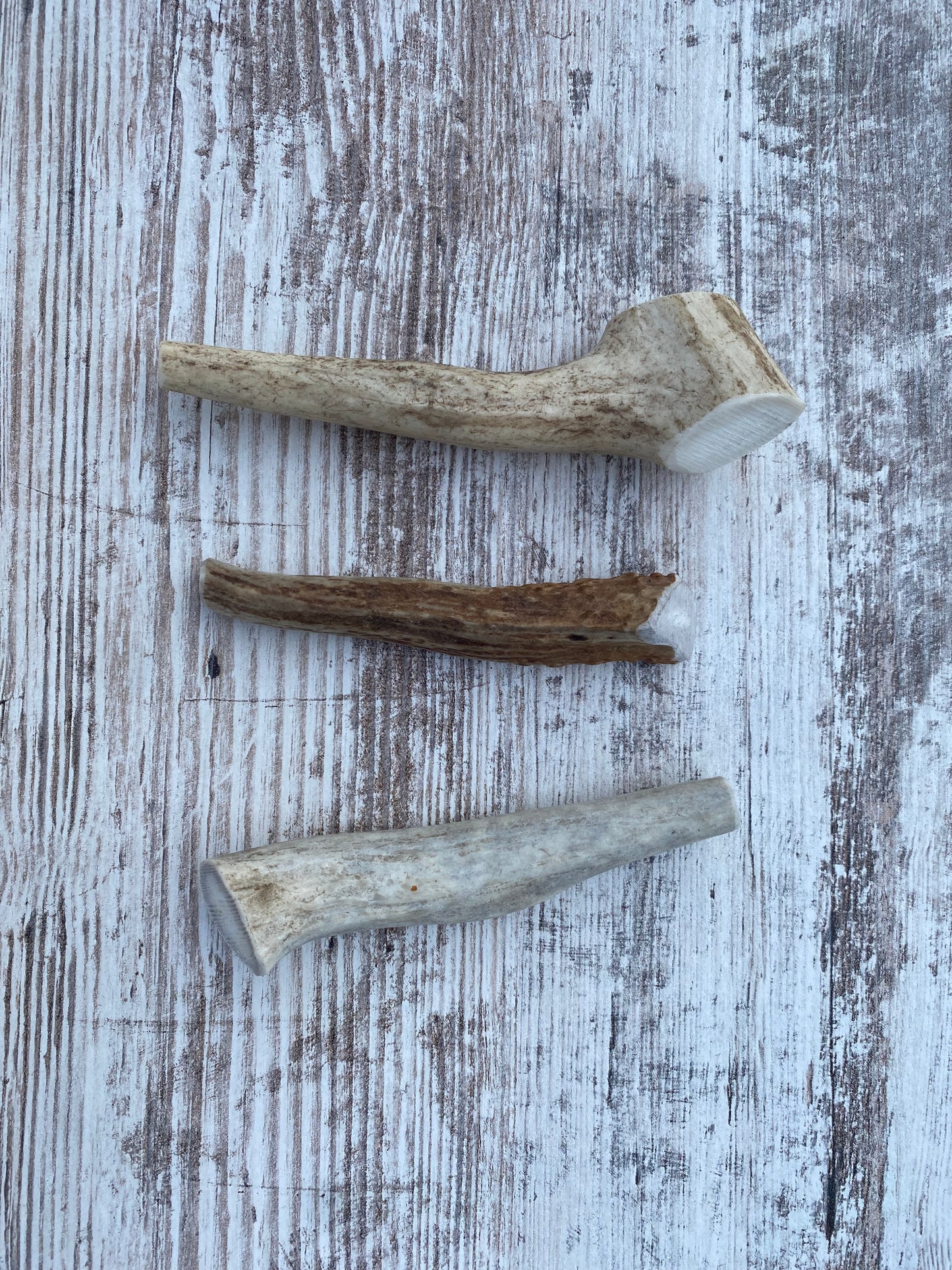 Small Whole Elk Antler Chew