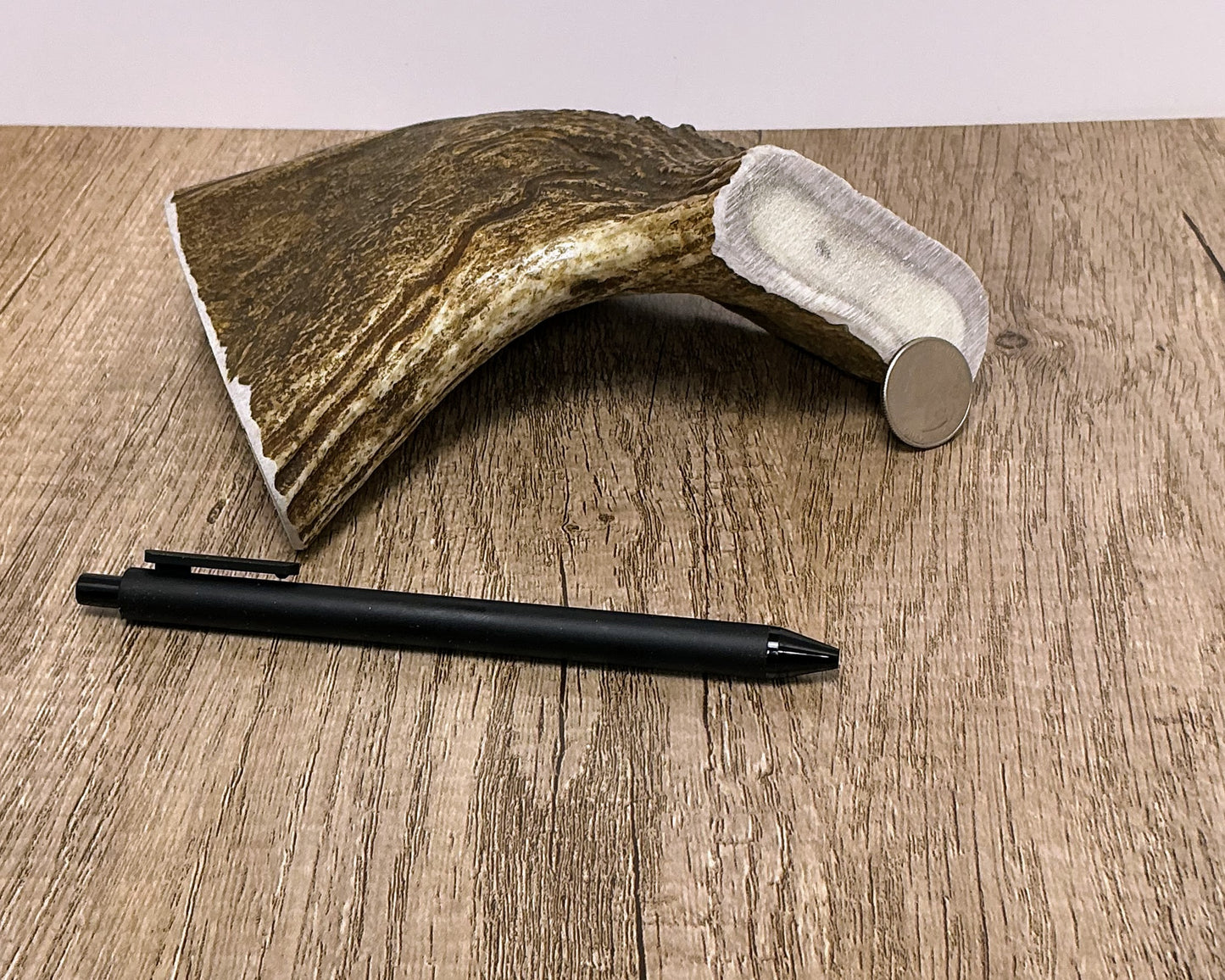 Moose Antler Brow Palm Chew - HARD - #1008