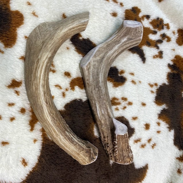 Jumbo Whitetail Antler Chew