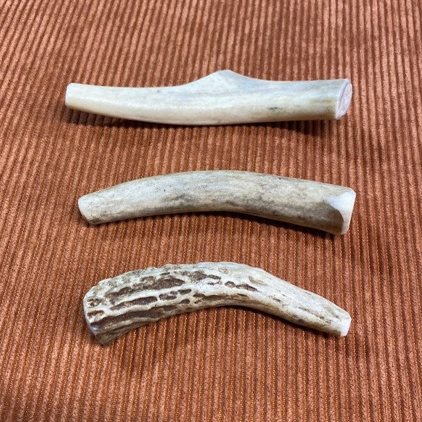 Small Whitetail Deer Antler Chew