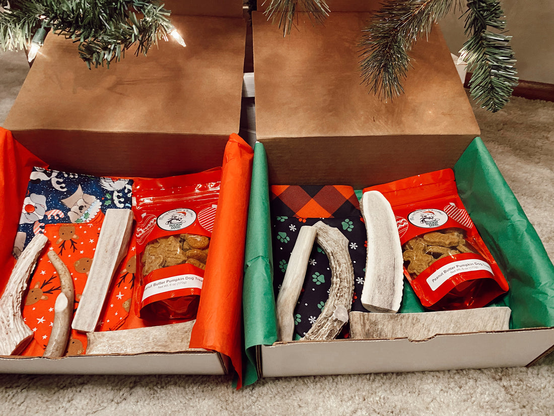 Merry Buckin' Christmas Boxes Under Christmas Tree