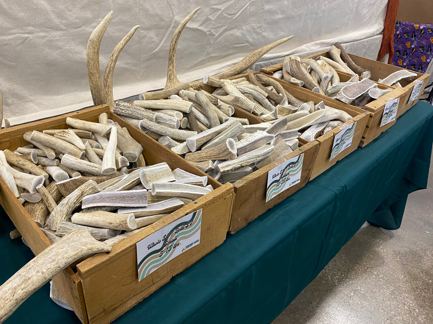 Elk Antler Chews on table