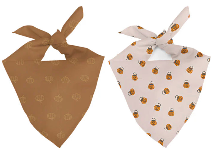 Fall Pumpkin bandana for dogs from buckin good antler chews an Iowa small business