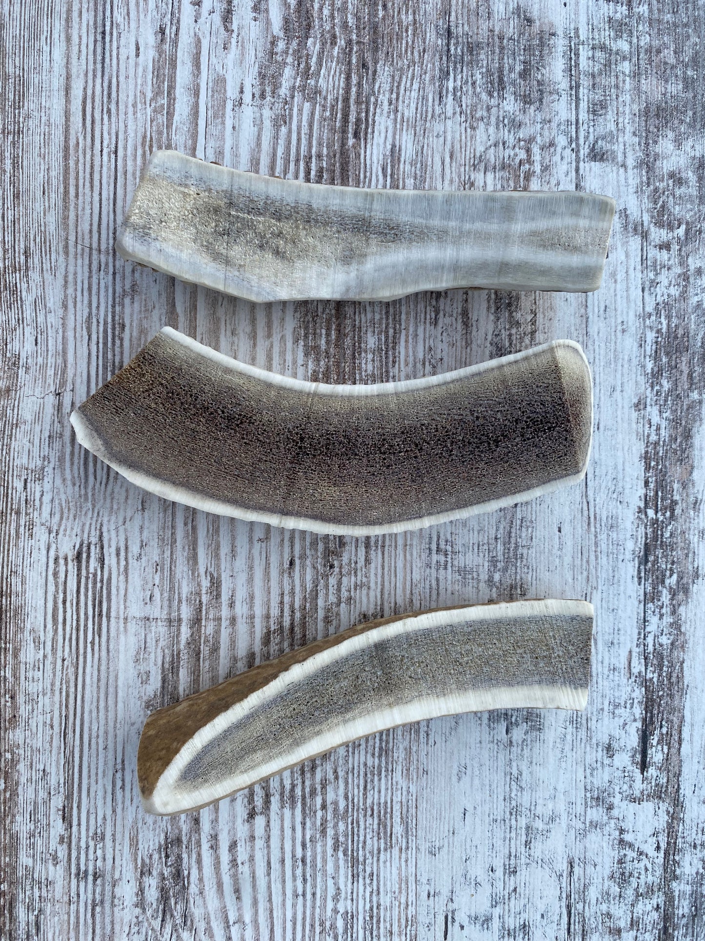 Medium Split Elk Antler Chew