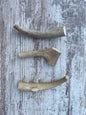 Medium Whole Elk Antler Chew