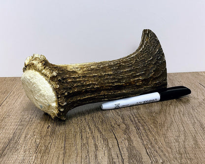 Moose Antler Base Chew - HARD - #1001