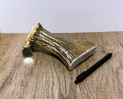 Moose Antler Base Chew - HARD - #1002