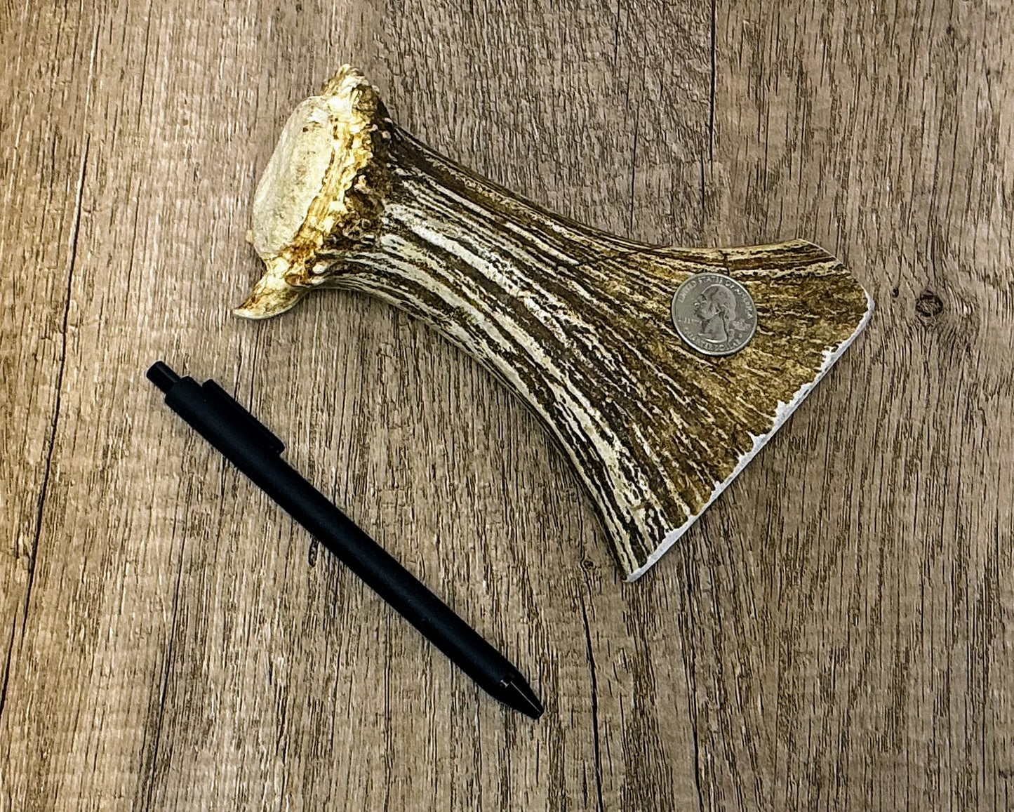 Moose Antler Base Chew - HARD - #1002