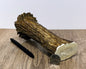 Moose Antler Base Chew - HARD - #1003