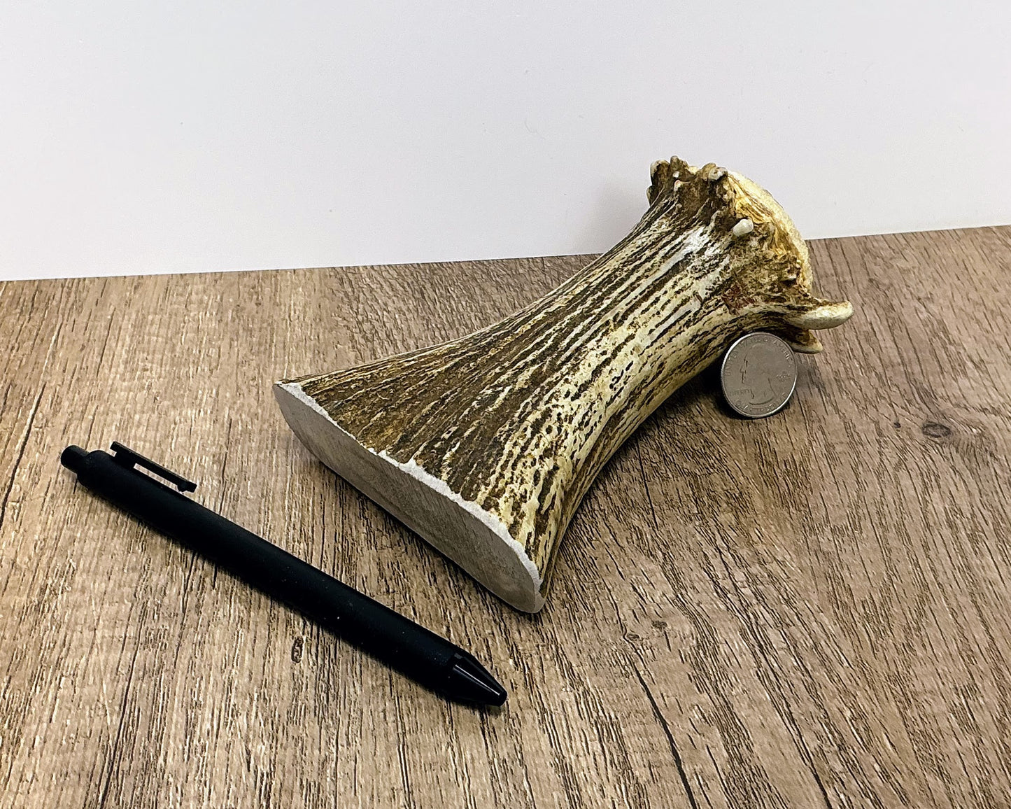 Moose Antler Base Chew - HARD - #1006