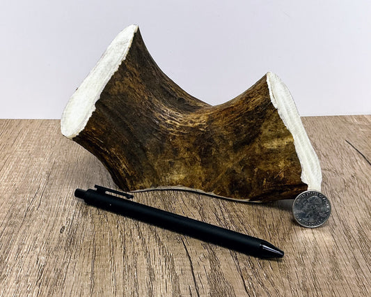 Moose Antler Brow Palm Chew - HARD - #1009