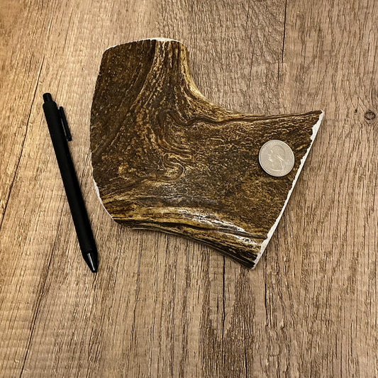 Moose Antler Brow Palm Chew - HARD - #1008