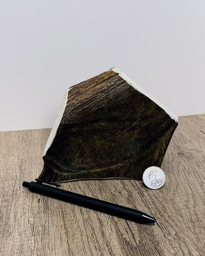 Moose Antler Brow Palm Chew - MED/HARD - #1010