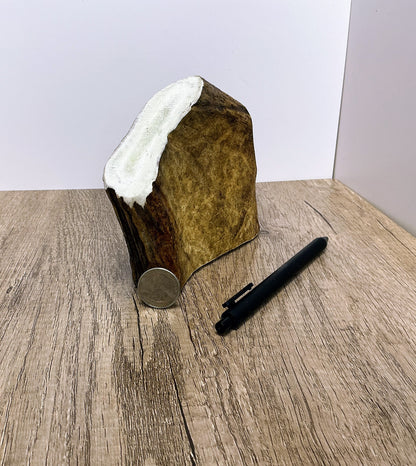 Moose Antler Brow Palm Chew - MED/HARD - #1010