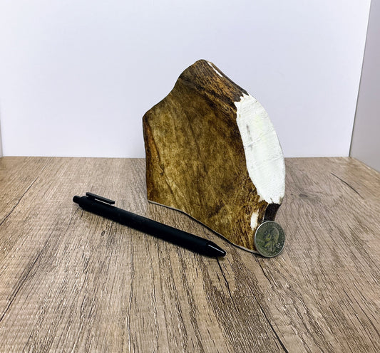 Moose Antler Brow Palm Chew - MED/HARD - #1010