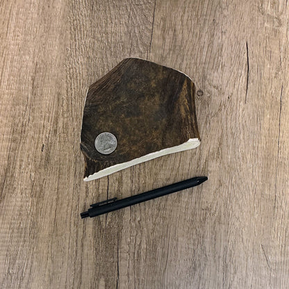 Moose Antler Brow Palm Chew - MED/HARD - #1010