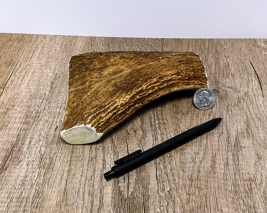 Moose Antler Brow Palm Chew - HARD - #1012