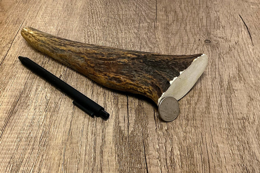 Moose Antler Tine Chew - HARD - #1018