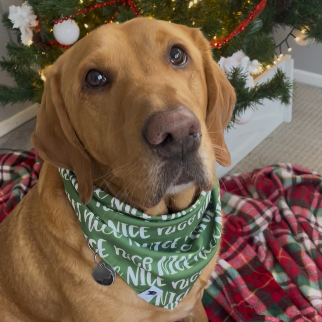 Naughty & Nice Bandana