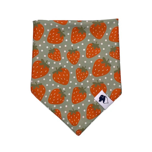 Strawberry pattern bandana for dogs from buckin good antler chews an Iowa small business 