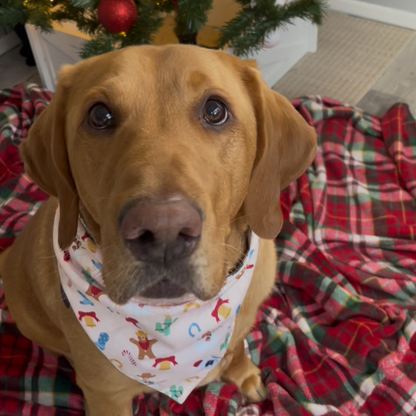 Christmas Movie & Cowboy Snowman Dog Bandana