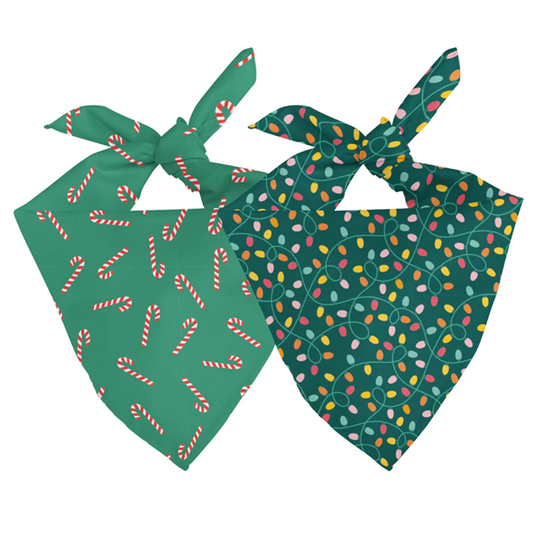 Lights & Candy Cane Dog Bandana