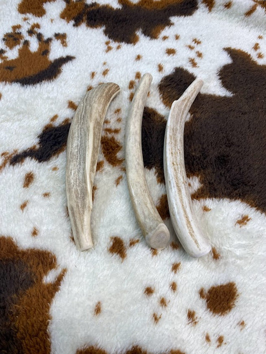 Large Whitetail Antler Chew