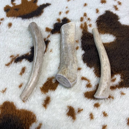 Medium Whitetail Antler Chew